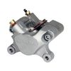 Caliper-DLS IIIA