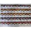 BBM Rookie Edition 2023 Full Comp 158 Types (Baseball Cards)