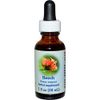 Flower Essence Healing Herbs Organic Beech Dropper - 1 fl oz