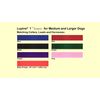LupinePet Basics 1" Green 25-31" Adjustable Collar for Extra Large Dogs
