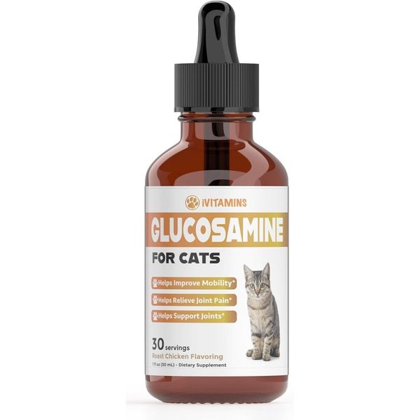 Cat Joint Pain Relief Supplement Glucosamine for Cats Joint Support