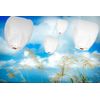 10 White - Eco-Friendly Chinese Flying Floating Sky Lanterns (A Liittle Tree)