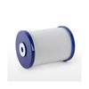 iFilters High Purity Coconut Shell Activated Carbon Water Filter - 750 GPD Li...