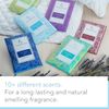 Expressive Scent 6 Pack Pomegranate Large Scented Sachet Envelope - Heritage Collection