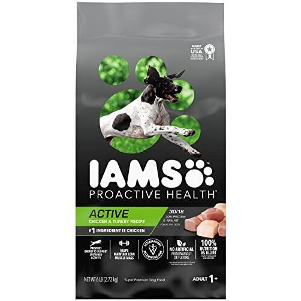 Iams Proactive Health Adult Active Dry Dog Food with Chicken and Turkey, 6 lb.