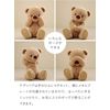 [Petilu] Kishu KUU 3S 18cm Size (Case) Normal