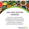Phosphatidylcholine Egg yolk lecithin, 2 pieces per set