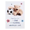 Hallmark Dad Father's Day Card 'Funtastic' - Medium