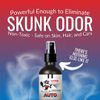 The Stink Solution Auto Odor Eliminating Spray Midnight Scent - 2 16 oz Bottles