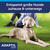 ADAPTIL Calm Collar for Large Dogs