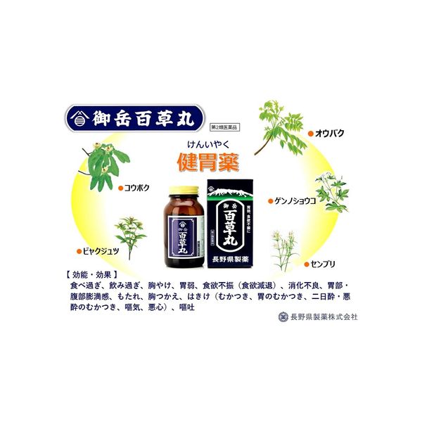 【第2類医薬品】御岳百草丸 2700粒