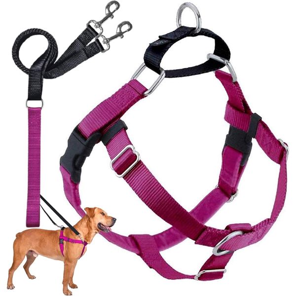 2 Hounds Design Freedom No-Pull Dog Harness with Leash, Medium, 1-Inch Wide, Raspberry