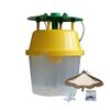 Box Tree Moth Bucket Trap