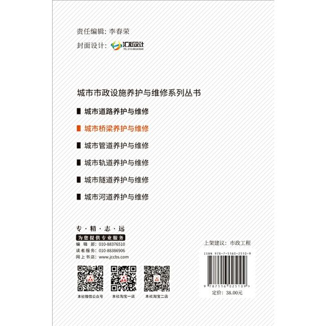 城市桥梁养护与维修·城市市政设施养护与维修系列丛书