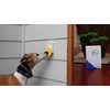 Pebble Smart Doggie Doorbell - Blue Accent