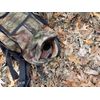Cass Creek Spring Gobbler Handheld Electronic Game Call | 5 Turkey Calls in 1 | Authentic Animal Recordings | 200 Yard Sound Projection | Compact Design