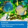 API pH UP Freshwater Aquarium Water pH Raising Solution for fish,4-Ounce Bottle
