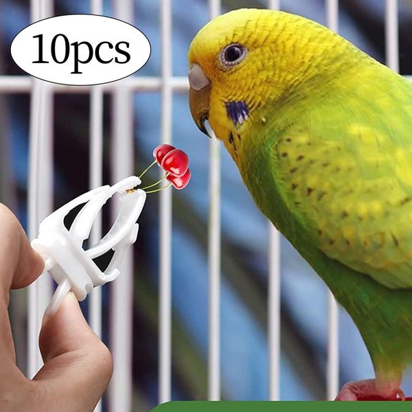 10Pcs Pet Feeder Clip Bracket, Treats Snack Bird Foraging Toy Bird Cage Food