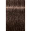 Indola Xpress Color 60ml - 6.38