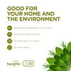 Sapadilla Rosemary + Peppermint Biodegradable Liquid Hand Soap Pump, 12 Ounce