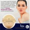 cellular strength system Cream For Day And Night. Célula Madre Terramar