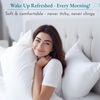 - Full Bed Sheets Set, Soft 100% Cotton Cooling Sheets Deep Pockets Set, Snug Fi