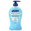 Softsoap Antibacterial Liquid Hand Soap Pump, Clean & Protect, Cool Splash - 11.25 Fl. Oz