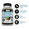 Irish Sea Moss, Bladderwrack & Burdock, Thyroid & Immune Support, Natural Energy