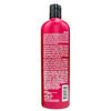 Riveting Red Shampoo and Conditioner (10.2 oz)