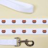 'Red Panda' Dog Lead/Leash (DL00010857)
