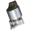 Delphi EG10501 EGR Valve