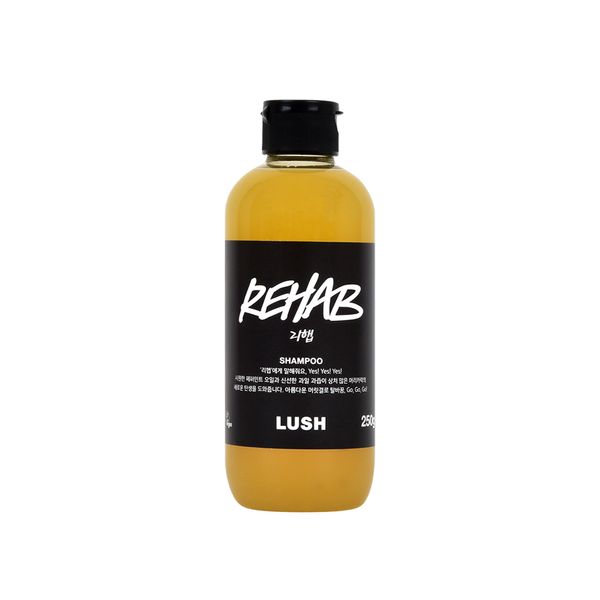 [Lush] Rehab 250g - Shampoo / Vegan Shampoo / Vegan Cosmetics