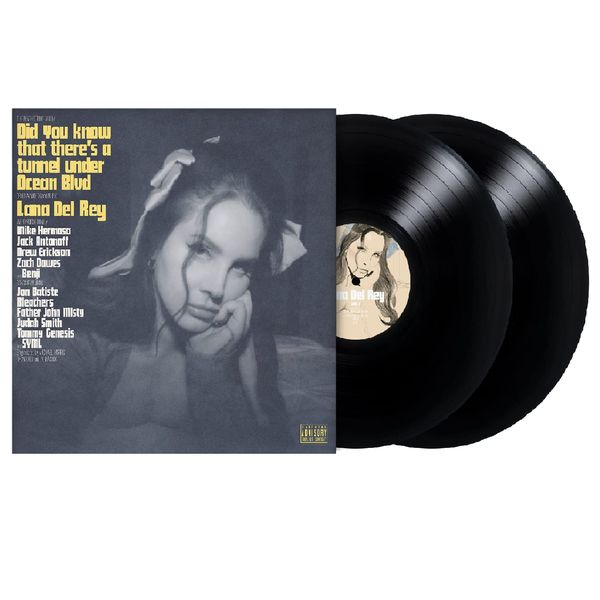 Did you know that there’s a tunnel under Ocean Blvd [2 LP]