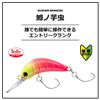 DAIWA Trout Caterpillar, Brown Glow