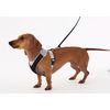 Doggles V Mesh Dog Harness, Blue/Gray, XX Small