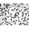 Colloidal Silica Nanoparticles (CV < 3%, 10 mg/ml, 50 nm, 10 ml)