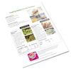 Holiday Color Handout Tearpad