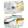 キッズブルーベリー&ルテイン 60粒 2個セット60日分【小粒ソフトカプセル/ぶどう風味/子育て応援/DHA配合/見る力/子供/健康/サプリ/サプリメント/栄養補助食品/安心国内製造/コプリナ】