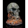 Misting Eyes Cursed Skull Humidifier