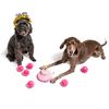 Midlee 2 Layer Birthday Cake 7" Tall Dog Toy (Pink)