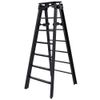 Black Ladder for Wrestling Action Figures