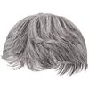 Priscilla GB-22-TGH Men's 5-Minute Wig, Layer Short