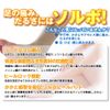 ソルボかかとくんヒールロック 1足入 S
