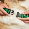 Plastic Clip Collar - Irish Drinking Team Green White - Small 9-15"