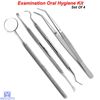 Dental Diagnostic Probe Tartar Scraper Tooth Cleaner Calculus Plaque Remover Kit