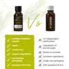 Tea Tree Pure Oil 10ml
