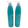 FIRENZE PROFESSIONAL  DEEP CLEANING SHAMPOO 33.8 OZ (#1 PACK) EUCALYPTUS EXTRACT