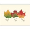 Earth Sky + Water - Fall Foliage Assortment Notecard Set - 8 Blank Cards with Envelopes (2 each of 4 styles)