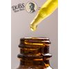 Dubs Was Here BEARD OIL and CONDITIONER - BAY RUM SCENT