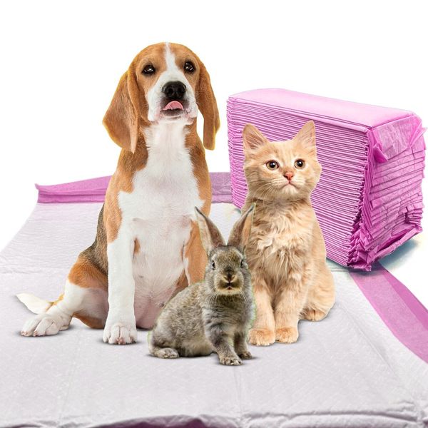 200 Pet Training Pads Ultra-Absorbent Housebreaking Unscented Pink Pad: S 13x18"